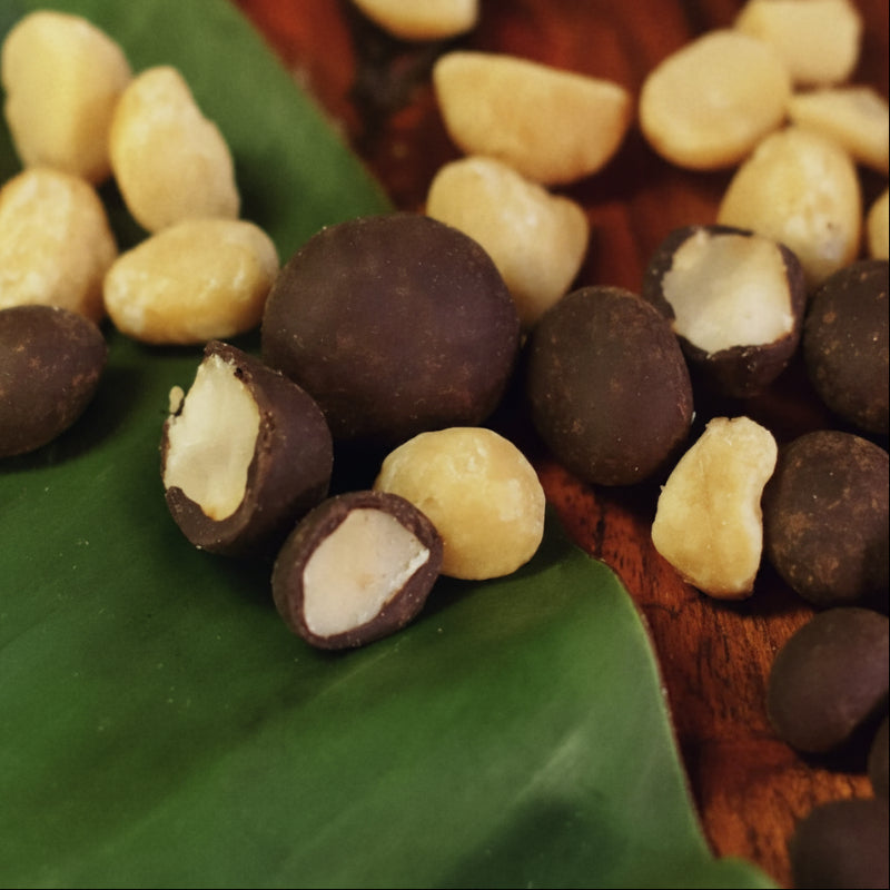 Manoa Chocolate Sea Salt Chocolate Macadamias · Manoa Chocolate (VG) (GF)