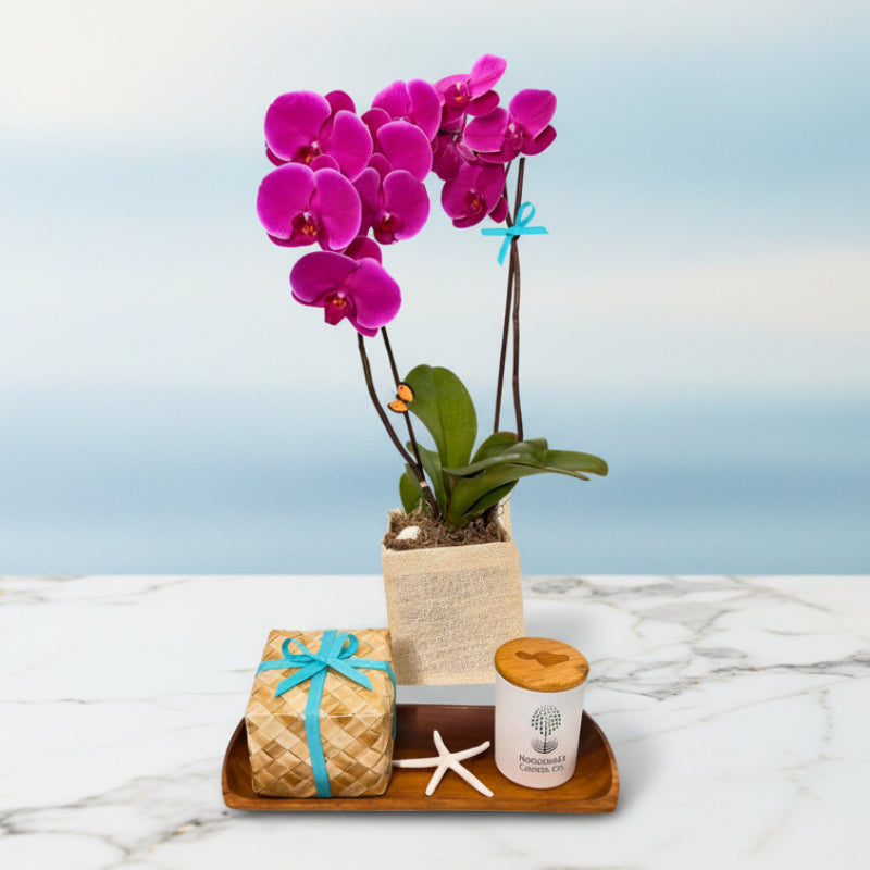 Maui's Finest Gifts Hawaii The Complete Luxury Collection: Scented Candle, Fresh Orchid & Gourmet Chocolates