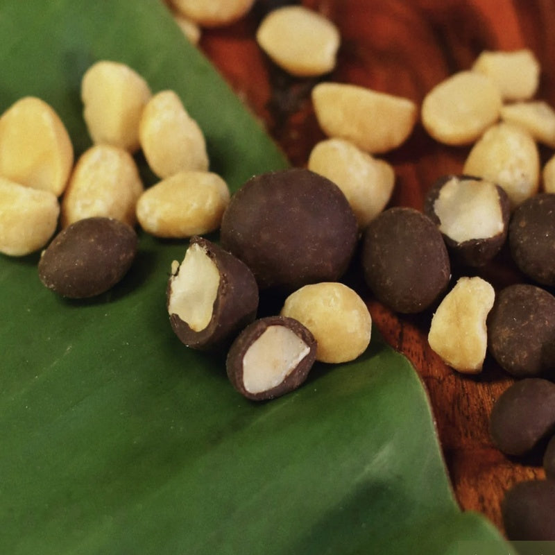 Chocolate-coated macadamias on a green leaf