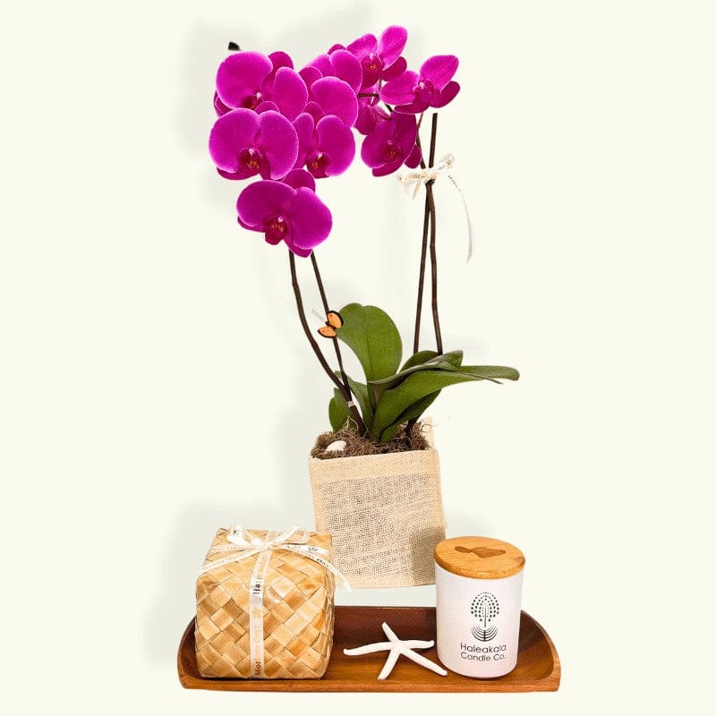Maui's Finest Gifts Hawaii Hawaiian Mother’s Day Gift  Orchid, Artisan Chocolates & Island Candle