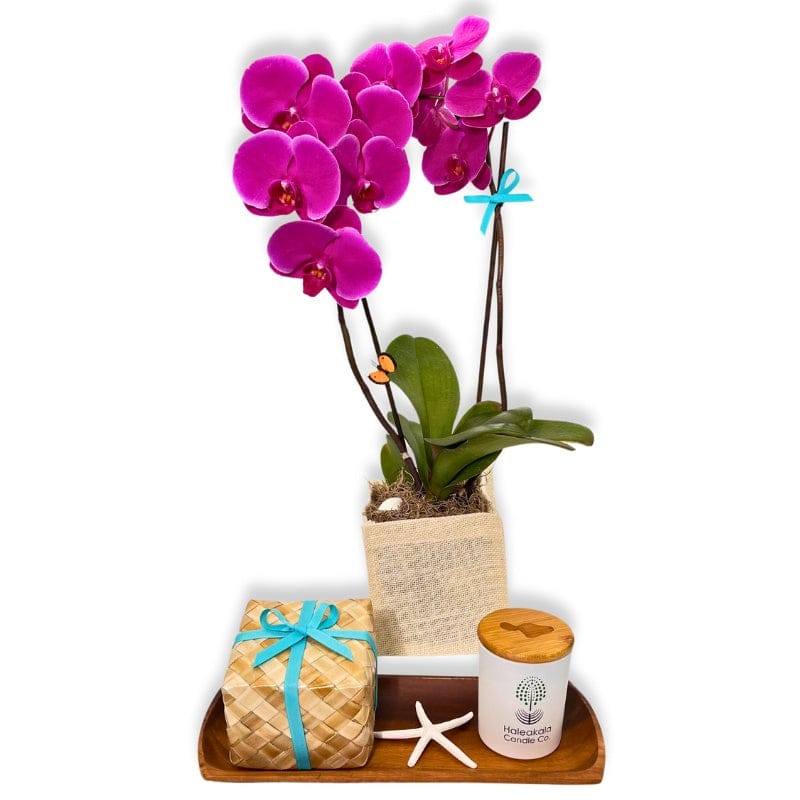 Maui's Finest Gifts Hawaii The Complete Luxury Collection: Scented Candle, Fresh Orchid & Gourmet Chocolates