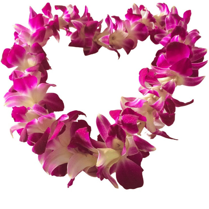 Hawaiian flower lei with pink and white flowers on a white background